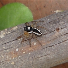 Unverified at suppressed - suppressed