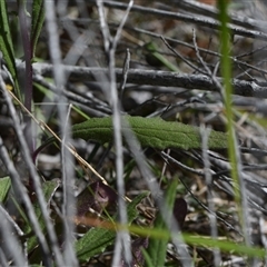 Unverified at suppressed - suppressed