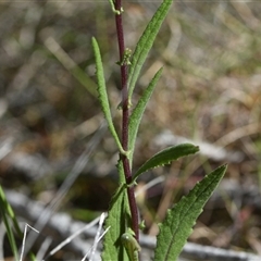 Unverified at suppressed - suppressed