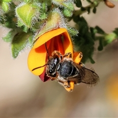 Unverified at suppressed - suppressed