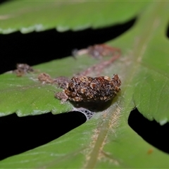 Unidentified at suppressed - 28 Jul 2024