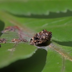 Unidentified at suppressed - 28 Jul 2024