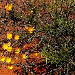 Unidentified at suppressed - 10 Sep 2024