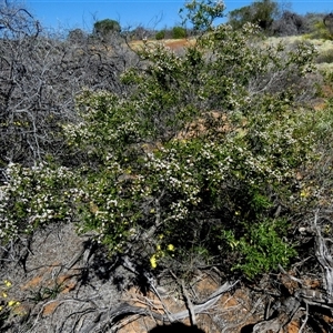 Unidentified at suppressed - 10 Sep 2024