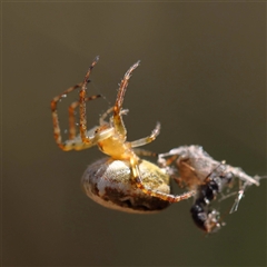 Unverified at suppressed - suppressed