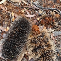 Unverified at suppressed - suppressed