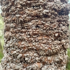 Unverified at suppressed - suppressed