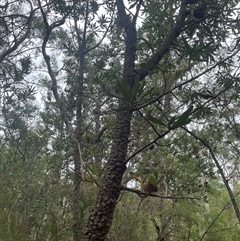 Unverified at suppressed - suppressed