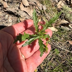 Unverified at suppressed - suppressed