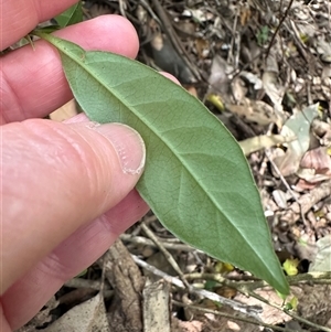 Unidentified at suppressed - 18 Oct 2024