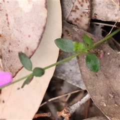 Unverified at suppressed - suppressed