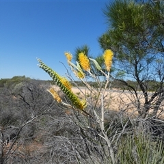 Unidentified at suppressed - 11 Sep 2024