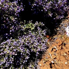 Unverified at suppressed - suppressed