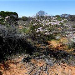 Unverified at suppressed - suppressed