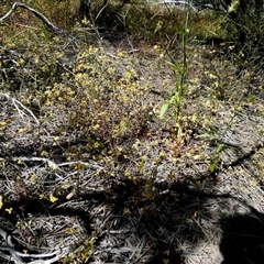 Unverified at suppressed - suppressed