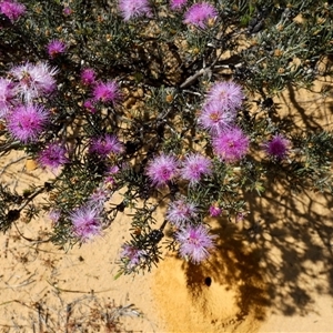 Unverified at suppressed - suppressed