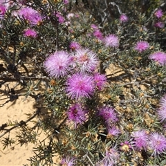 Unverified at suppressed - suppressed