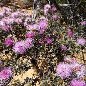 Unverified at suppressed - suppressed