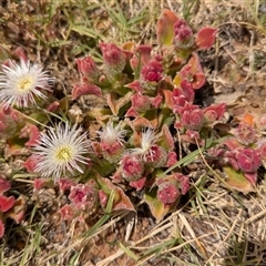 Unverified at suppressed - suppressed