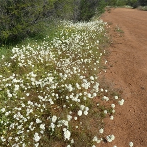 Unidentified at suppressed - 11 Sep 2024