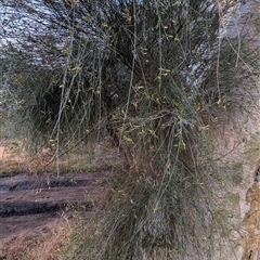 Unverified at suppressed - suppressed