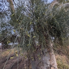 Unverified at suppressed - suppressed