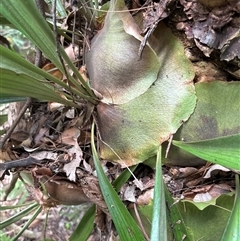 Unverified at suppressed - suppressed