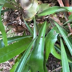 Unverified at suppressed - suppressed