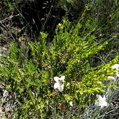 Unverified at suppressed - suppressed