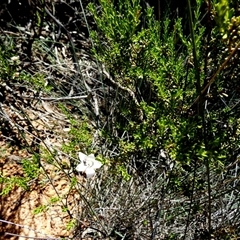 Unverified at suppressed - suppressed