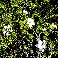 Unverified at suppressed - suppressed