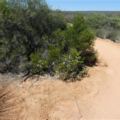 Unverified at suppressed - suppressed