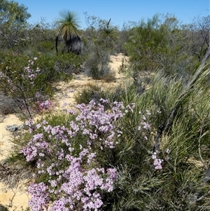 Unidentified at suppressed - 12 Sep 2024