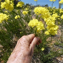 Unverified at suppressed - suppressed