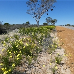 Unverified at suppressed - suppressed