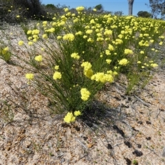 Unverified at suppressed - suppressed