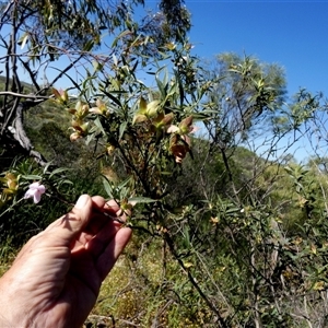 Unidentified at suppressed - 13 Sep 2024