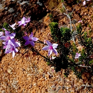 Unidentified at suppressed - 13 Sep 2024