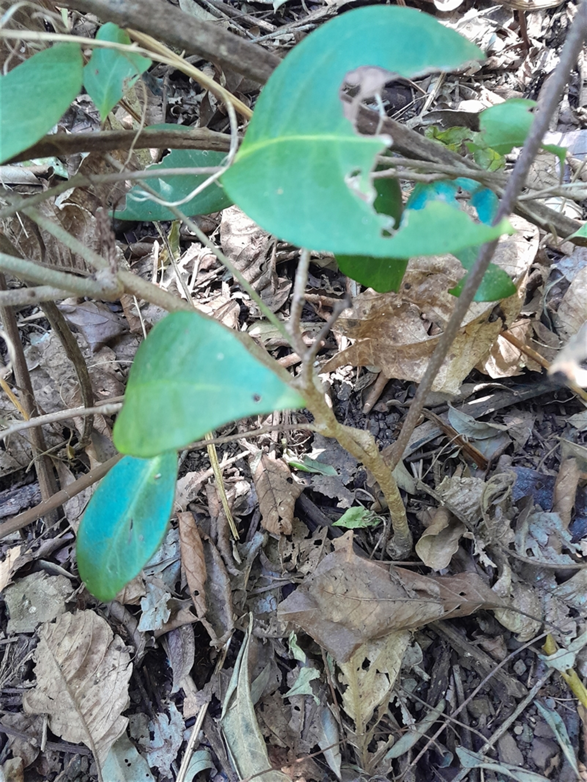 Unverified at suppressed - suppressed