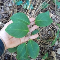 Unverified at suppressed - suppressed