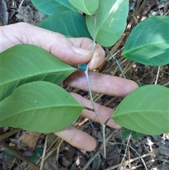 Unverified at suppressed - suppressed