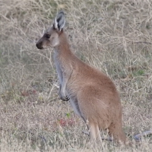 Unidentified at suppressed - 21 Oct 2024