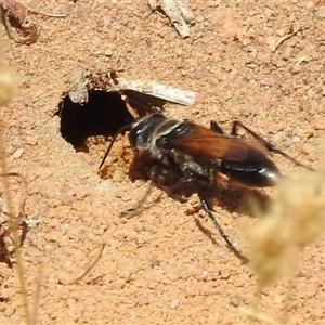 Unverified at suppressed - suppressed