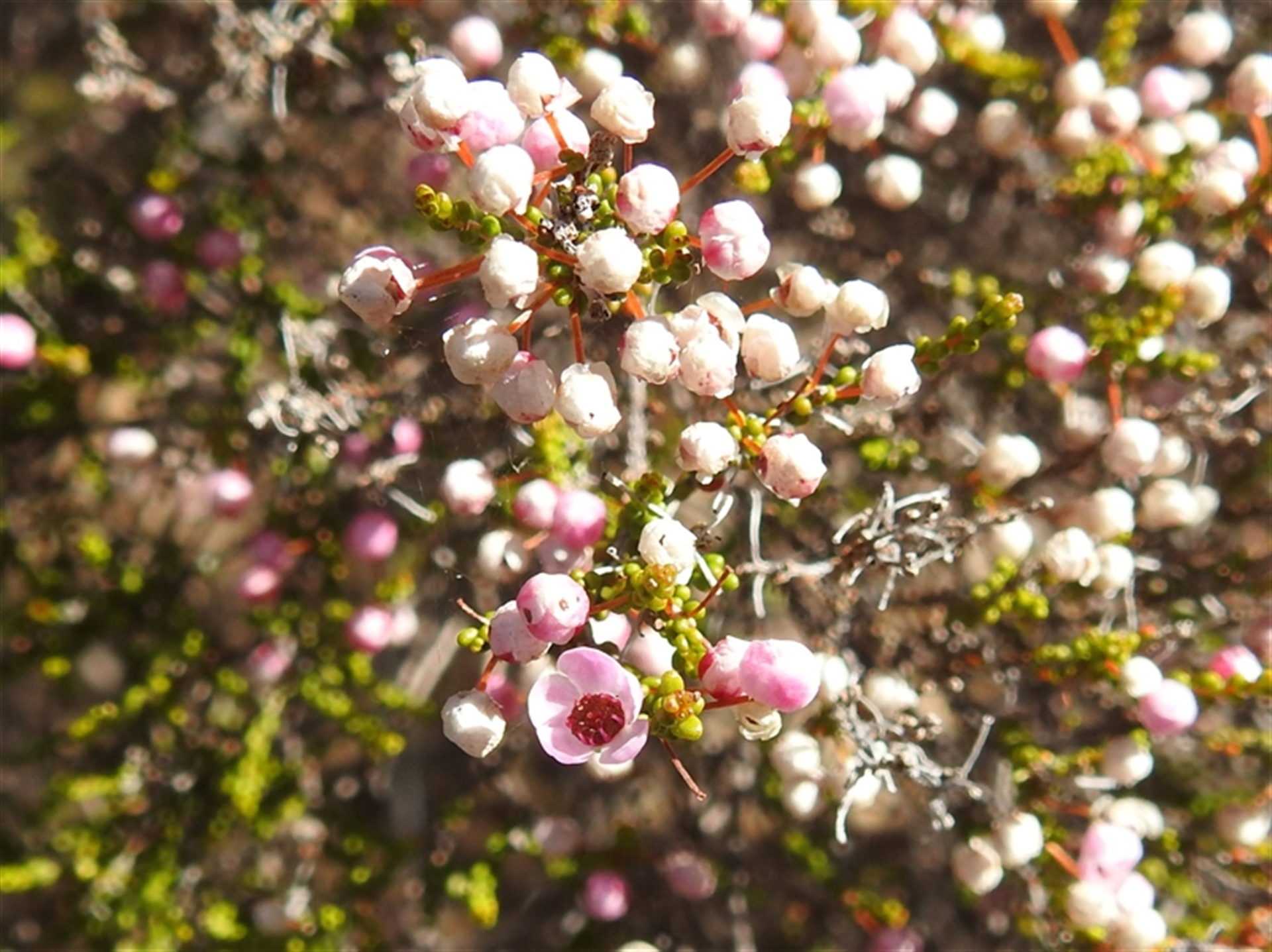 Unverified at suppressed - suppressed