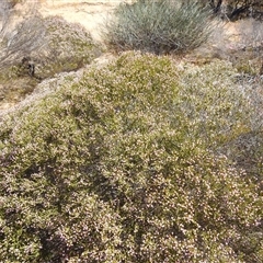 Unverified at suppressed - suppressed