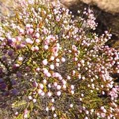 Unverified at suppressed - suppressed