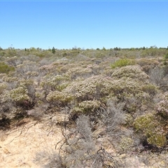 Unverified at suppressed - suppressed