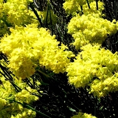 Unverified at suppressed - suppressed