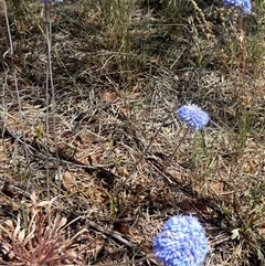 Unverified at suppressed - suppressed