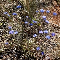 Unidentified at suppressed - 14 Sep 2024